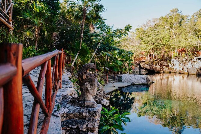 Cenotes Casa Tortuga: 4 Cenotes Day Pass - Four cenotes, four different moods