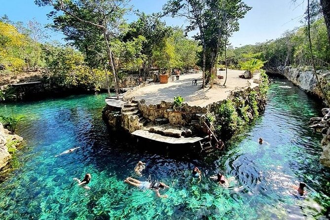 Cenotes Casa Tortuga: 4 Cenotes Day Pass - Swimming, ledge jumps, and fish