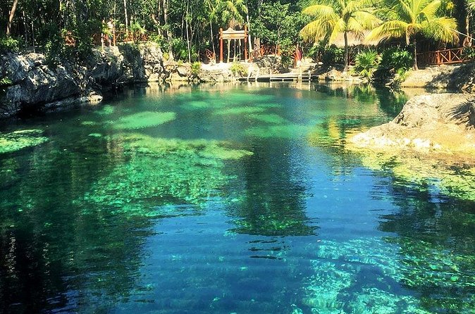 Cenotes Casa Tortuga: 4 Cenotes Day Pass - Arrive early, especially on busy days