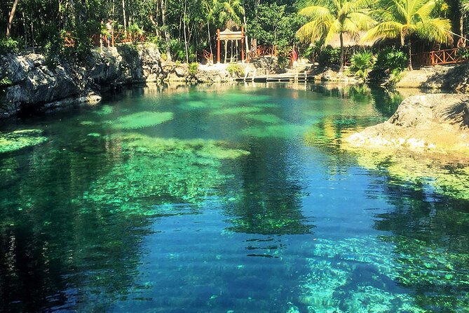 Cenotes Casa Tortuga: 4 Cenotes Day Pass - Who will enjoy Casa Tortuga most