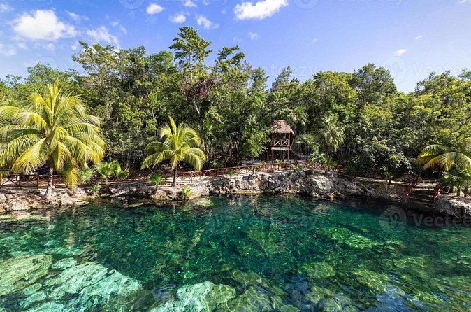 Cenotes Casa Tortuga: 4 Cenotes Day Pass - Cancellation and booking advice