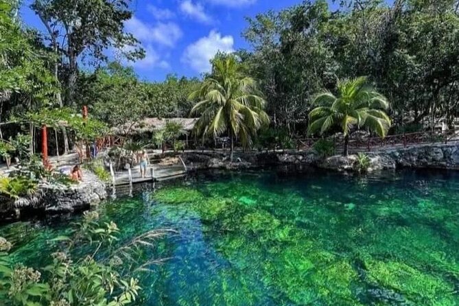 Cenotes Casa Tortuga: 4 Cenotes Day Pass - What the guided route adds