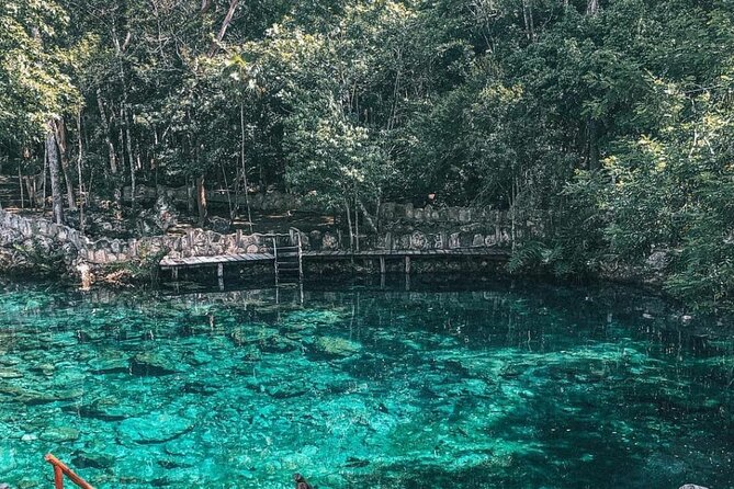 Cenotes Casa Tortuga - Who will enjoy this day most?