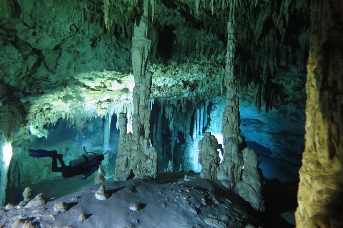 Cenotes diving Dos Ojos and The Bat Cave - What the five-hour outing looks like