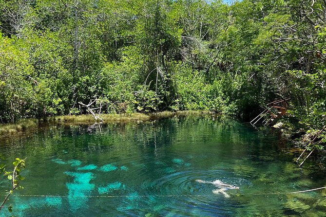 Cenotes Private Tour ( Two Eyes, Jaguar & Nicte-Ha ) - Dos Ojos: the most famous and dramatic stop