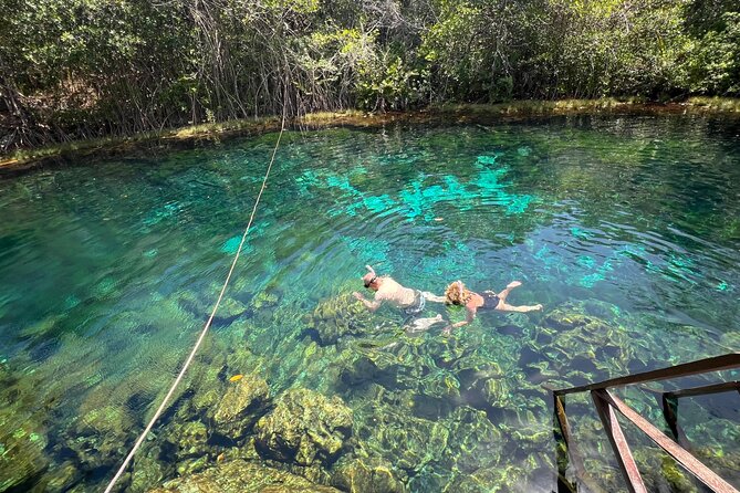 Cenotes Private Tour ( Two Eyes, Jaguar & Nicte-Ha ) - Timing, pickup, and the five-hour pace