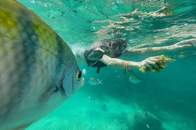 Cenotes Private Tour VIP - Yal-ku Lagoon: an easygoing first hour