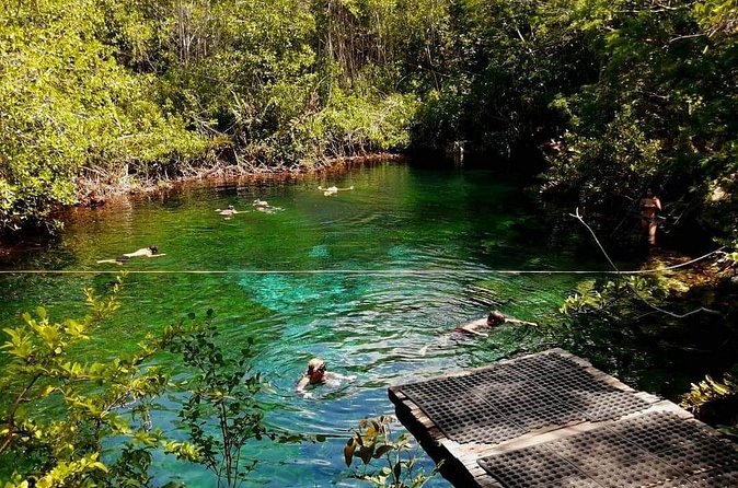 Cenotes Sacactum, Private tour. - What a private tour changes