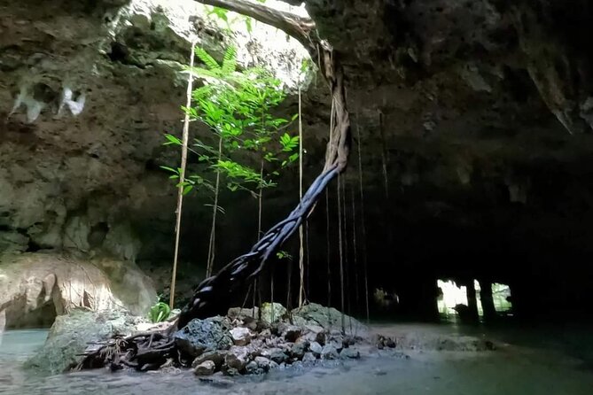 Cenotes Sacactum, Private tour. - Pickup from Playa del Carmen and nearby areas