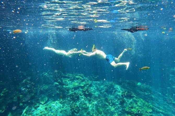 Cenotes Sacactum, Private tour. - Guides who shape the day
