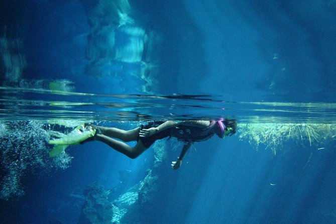Cenotes snorkeling excursion - The morning start and transport plan