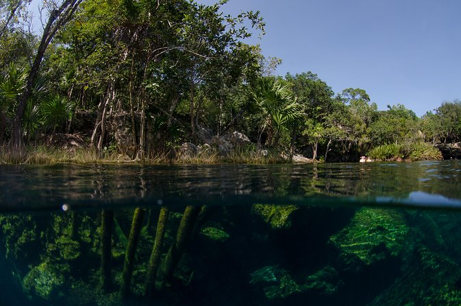 Cenotes snorkeling excursion - The guides can make or break the day