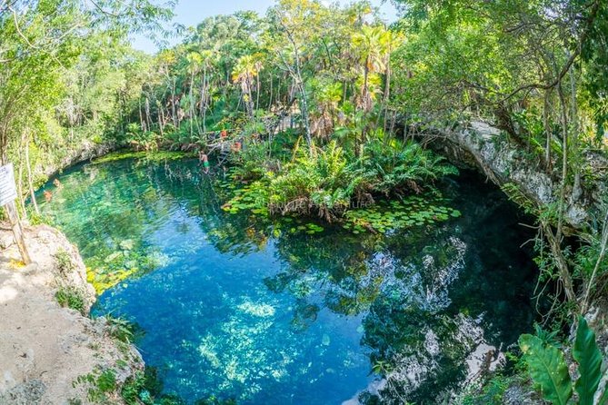 Cenotes Taak Bi Ha & Nicte Ha – VIP Snorkeling Private Tour - Why these two cenotes work well together