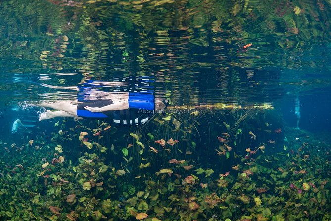 Cenotes Taak Bi Ha & Nicte Ha – VIP Snorkeling Private Tour - What the private format changes
