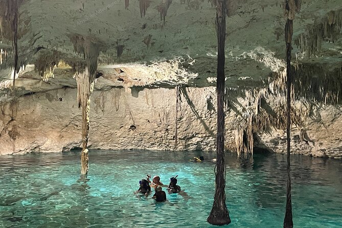 Cenotes Taak Bi Ha & Nicte Ha – VIP Snorkeling Private Tour - The guide can make the day better