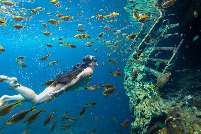 Cenotes Tour: Discover Hidden Gems, from Playa del Carmen - The four-hour estimate needs a large asterisk