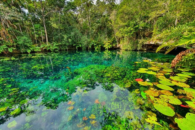 Cenotes trail jungle bike tour in Tulum with lunch - Guides who shape the day