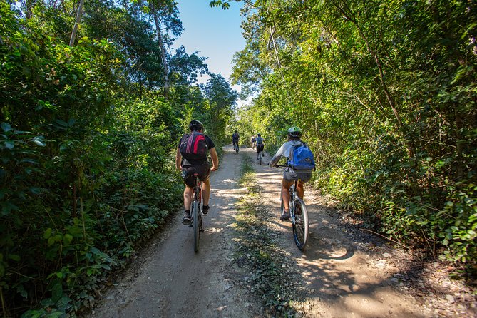 Cenotes trail jungle bike tour in Tulum with lunch - What the $119 price gets you