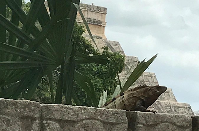 Chichen Itza Private experience - Timing, pickup, and practical planning