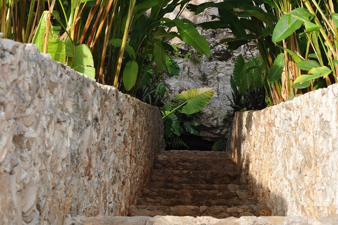 Choose your experience to live in Los 7 Cenotes San Gerónimo - Starting in Sotuta at San Pedro y San Pablo