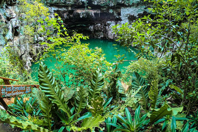 Choose your experience to live in Los 7 Cenotes San Gerónimo - The half-open cenote and its changing light