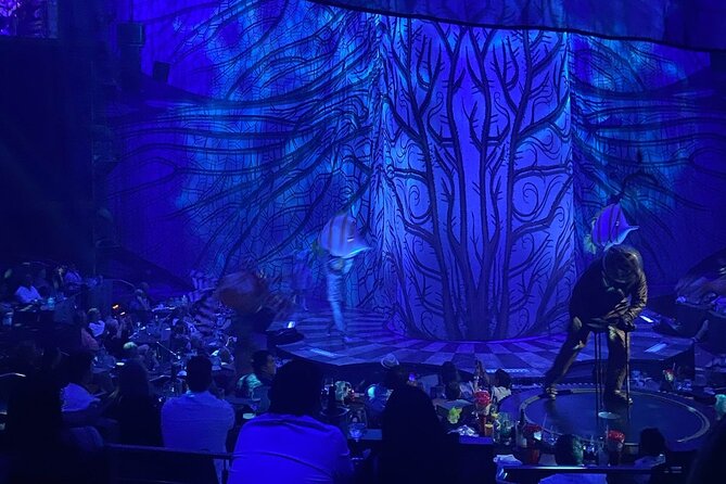 Cirque du Soleil JOYÀ in Vidanta Riviera Maya - What JOYÀ is really selling