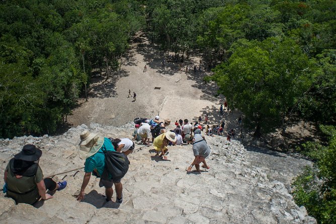 Coba and Tulum, cenote swim and buffet lunch - Swimming at Cenote Mariposa