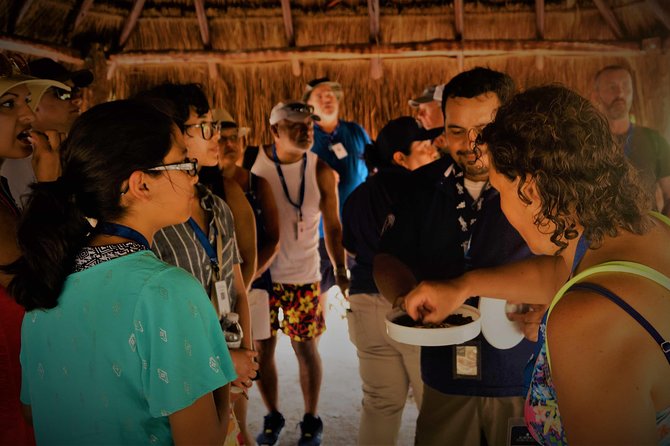 Coba and Tulum, cenote swim and buffet lunch - Transportation from Playa del Carmen and beyond
