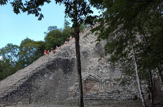 Coba Cenote and Maya Village Private Guided Tour - Who should book this Cobá tour?