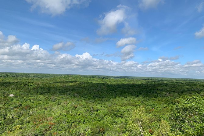 Coba Ruins and Punta Laguna Monkey Reserve Day Tour from Tulum - Lunch and the Mayan flavors of the day
