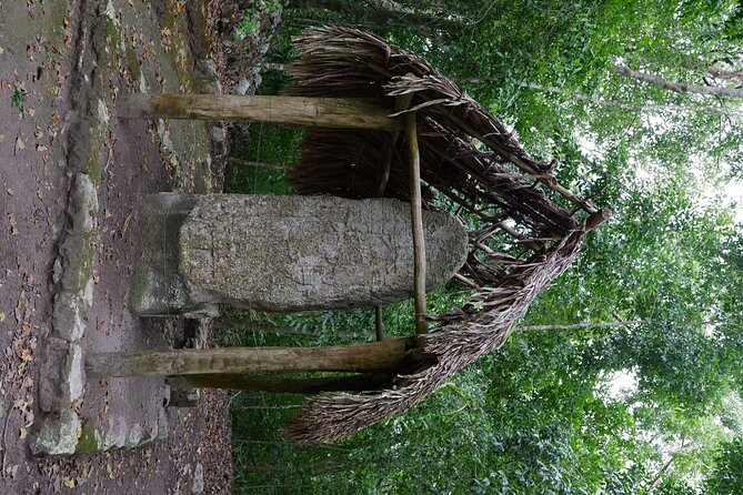Cobá Ruins Mayan Village and Cenote Tour from Riviera Maya - Guide quality and language support