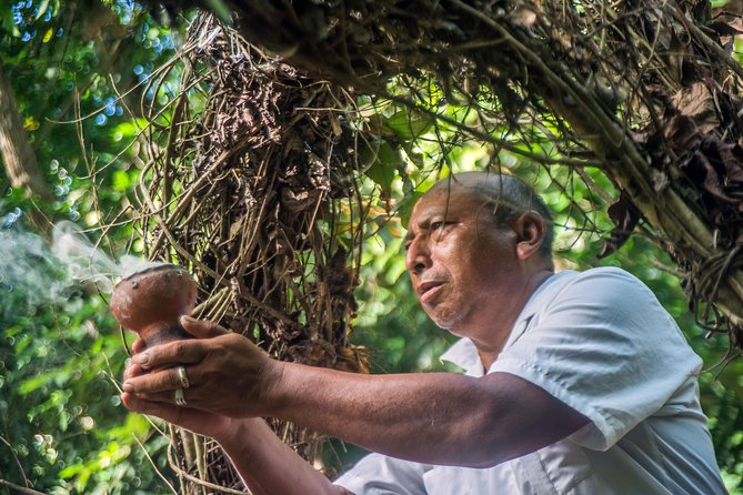 Coba Ruins, Punta Laguna Nature Reserve, Cenote and Mayan family - Lunch With a Mayan Family