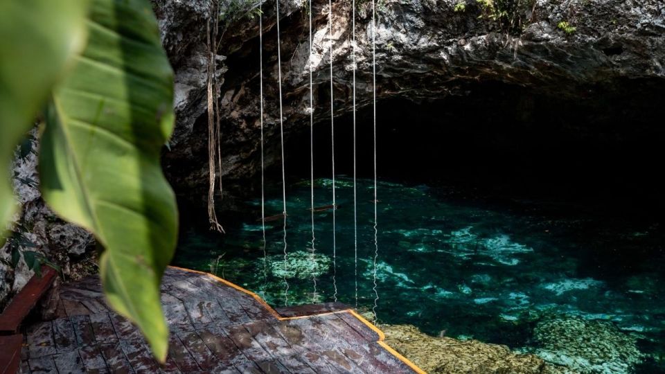 Coba, Tulum, Cenote & Lunch ECO Full Day from Rivera - Guides, languages, and the pace of the commentary