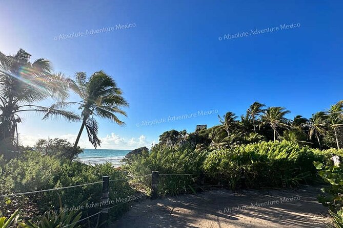 Coba & Tulum – Private Mayan Ruins Tour with Certified Guide - Who will enjoy this tour most?