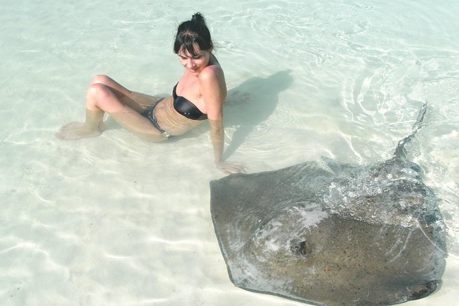 Contoy Island - Key points to know before booking