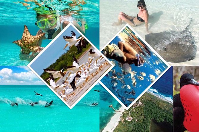 Contoy Island - Why Contoy feels different from a standard beach excursion