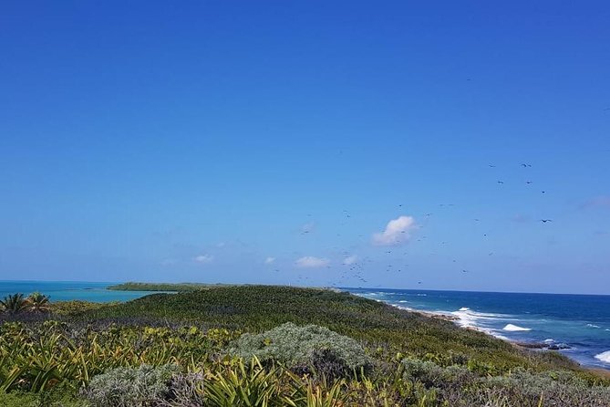 Contoy Island - One hour on Isla Mujeres and Playa Norte