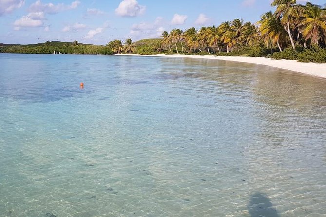 Contoy Island - Is $176 a fair price?