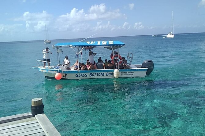 Cozumel El Cielo Tour by Boat from Playa del Carmen & Transfer - El Cielo, the First Snorkel Stop