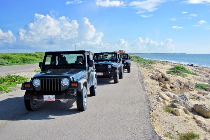 Cozumel Jeep Tour from Cancun and Riviera Maya - Punta Sur, Celarain Lighthouse, and Colombia Lagoon