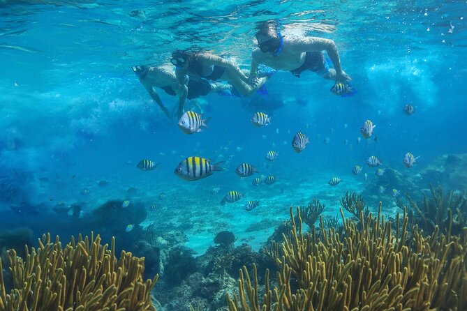 Cozumel Luxury Sailing & Snorkeling with Lunch and Open Bar Onboard - Lunch, cocktails, and onboard service