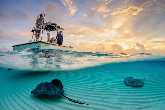 Cozumel Snorkel at El Cielo & 2 Reefs! Transportation from Tulum - Leaving Tulum at 7:00 am