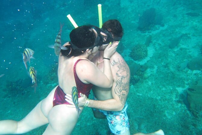 Cozumel Snorkel at El Cielo & 2 Reefs! Transportation from Tulum - Ferry crossing and arrival on Cozumel
