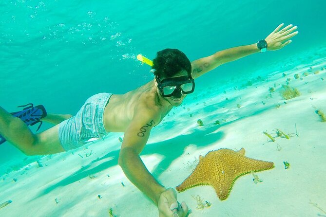 Cozumel Snorkel at El Cielo & 2 Reefs! Transportation from Tulum - Two hours to explore Cozumel town
