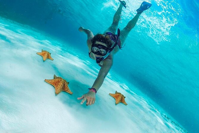 Cozumel Snorkel at El Cielo & 2 Reefs! Transportation from Tulum - The small motor boat and weather question