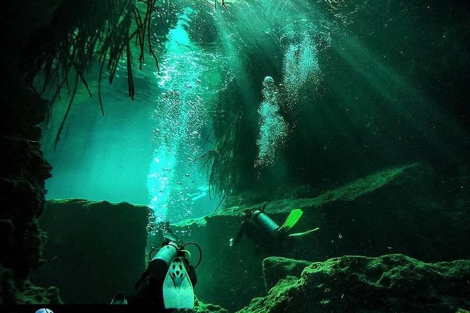 Discover Scuba Diving at Casa Cenote - What Happens Before You Enter the Water