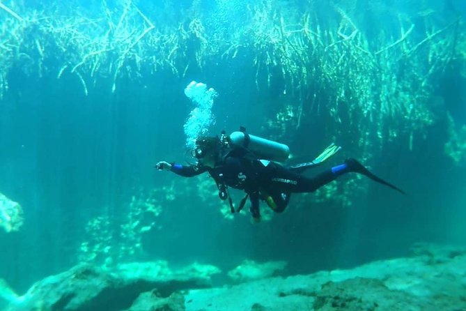 Discover Scuba Diving at Casa Cenote - Why This Works as a Test Before Certification