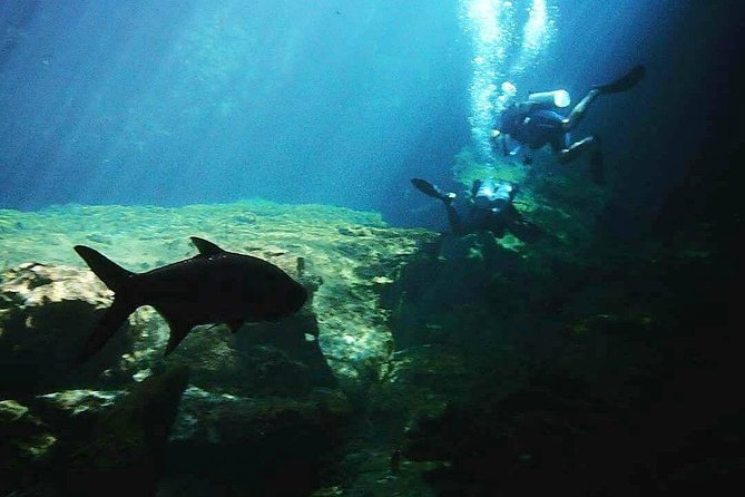 Discover Scuba Diving at Casa Cenote - Is $190 a Fair Price?