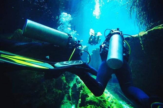 Discover Scuba Diving at Casa Cenote - Practicing Safety at Casa Cenote