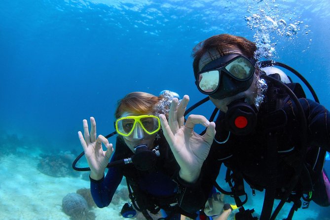 Discover Scuba Diving & Beach Club with Transportation In Riviera Maya - Why this short scuba session works for first-timers